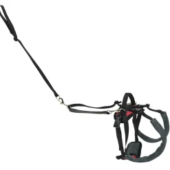 PetSafe CareLift Rear Support Dog Harness Black & Red Small