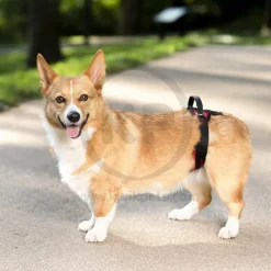 PetSafe CareLift Rear Support Dog Harness Black & Red Small