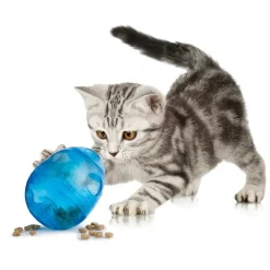 PetSafe Funkitty Egg-Cersizer Treat-Dispensing Cat Toy