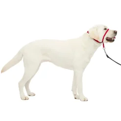 PetSafe Gentle Leader No-Pull Dog Headcollar Red Large