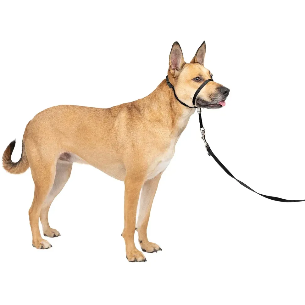 PetSafe Gentle Leader No-Pull Dog Headcollar Black Medium