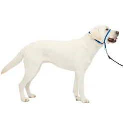 PetSafe Gentle Leader No-Pull Dog Headcollar Royal Blue Large