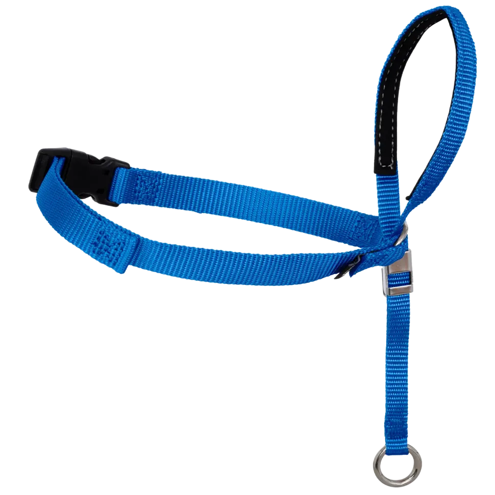 PetSafe Gentle Leader No-Pull Dog Headcollar Royal Blue Large