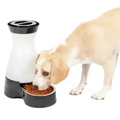 PetSafe Healthy Food Station Automatic Dog & Cat Gravity Feeder Medium