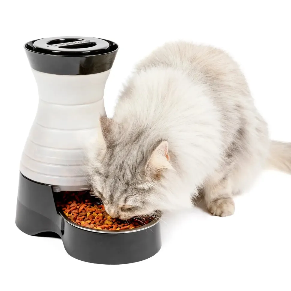 PetSafe Healthy Food Station Automatic Dog & Cat Gravity Feeder Small
