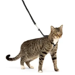 PetSafe Premier Come With Me Kitty Harness & Bungee Leash Combo Black/Silver Large