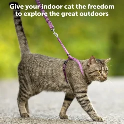 PetSafe Premier Come With Me Kitty Harness & Bungee Leash Combo Royal Blue/Navy Large