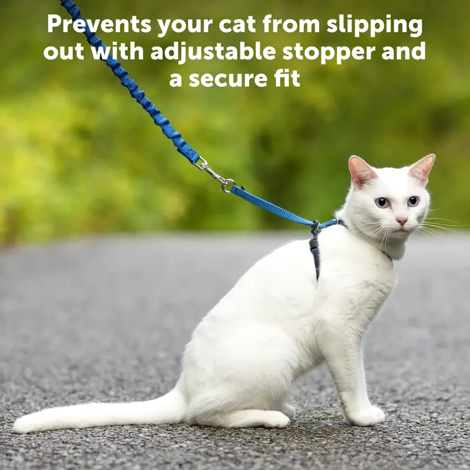 PetSafe Premier Come With Me Kitty Harness & Bungee Leash Combo Royal Blue/Navy Large