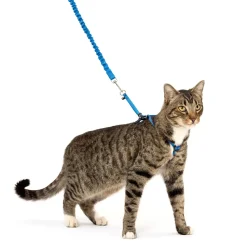 PetSafe Premier Come With Me Kitty Harness & Bungee Leash Combo Royal Blue/Navy Large