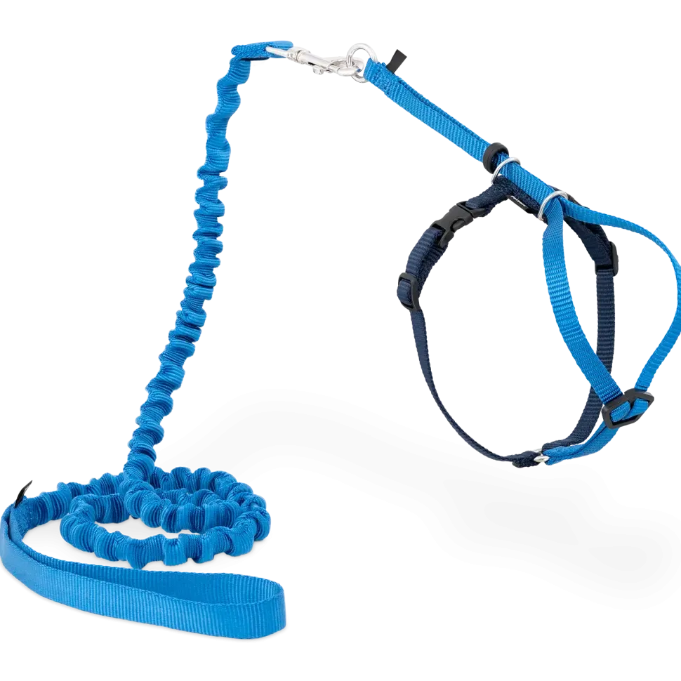 PetSafe Premier Come With Me Kitty Harness & Bungee Leash Combo Royal Blue/Navy Large
