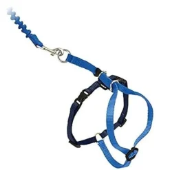 PetSafe Premier Come With Me Kitty Harness & Bungee Leash Combo Royal Blue/Navy Small