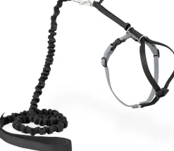PetSafe Premier Come With Me Kitty Harness & Bungee Leash Combo Black/Silver Small