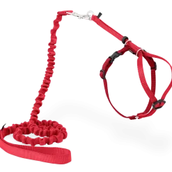 PetSafe Premier Come With Me Kitty Harness & Bungee Leash Combo Red/Cranberry Medium