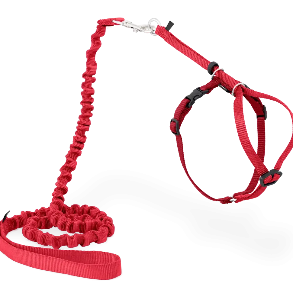 PetSafe Premier Come With Me Kitty Harness & Bungee Leash Combo Red/Cranberry Medium