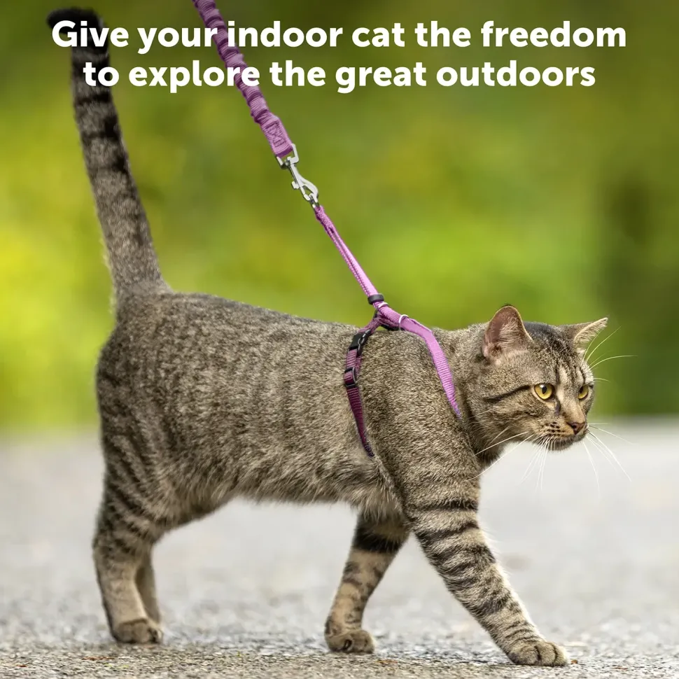 PetSafe Premier Come With Me Kitty Harness & Bungee Leash Combo Red/Cranberry Medium