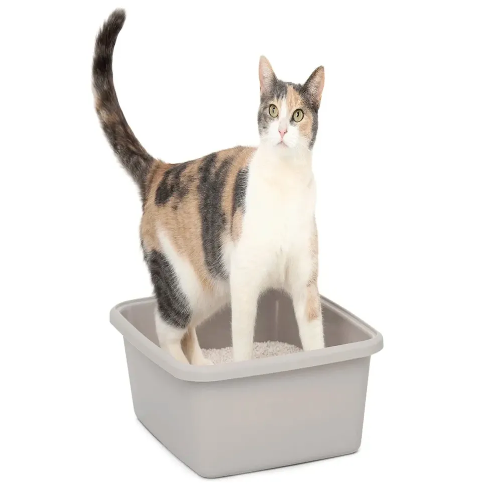 PetSafe ScoopFree Premium Natural Non-Clumping Cat Litter 8-lb