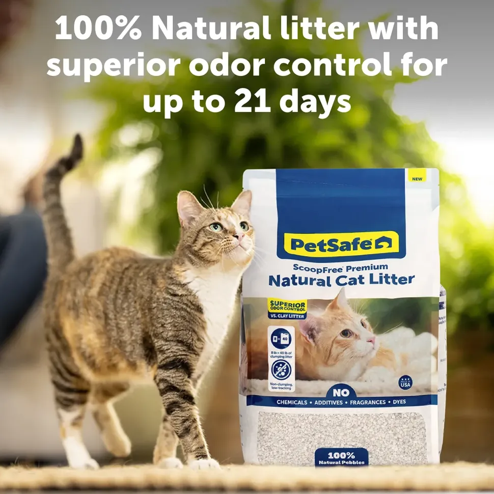 PetSafe ScoopFree Premium Natural Non-Clumping Cat Litter 8-lb