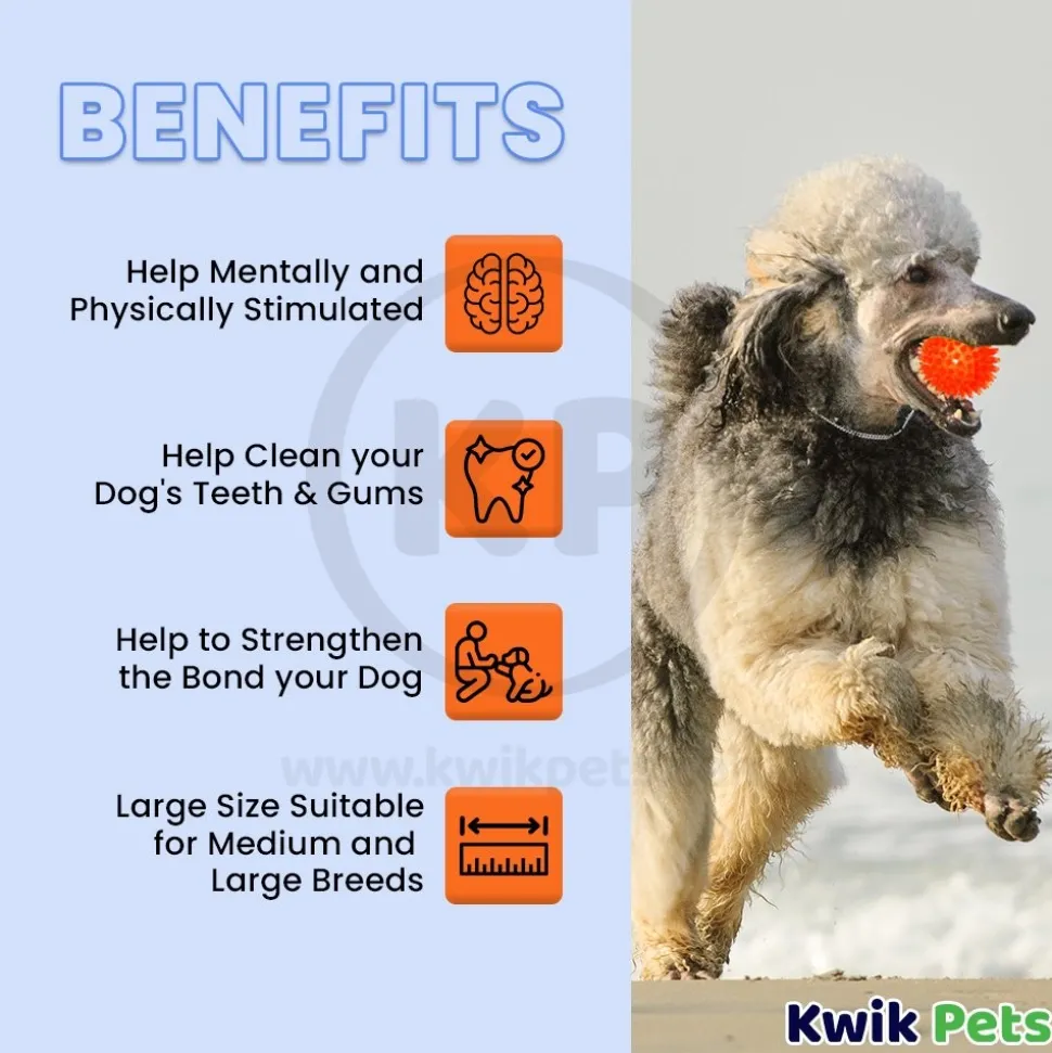 Petsport USA Gorilla Ball Dog Toy Assorted Large 4-in