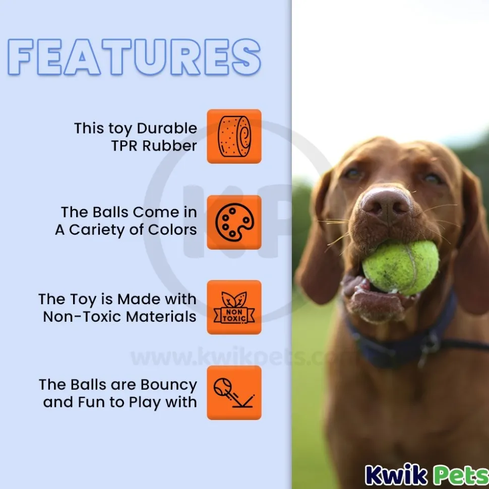Petsport USA Jr. Mint Balls Dog Toy Assorted 1.8-in 2 Count