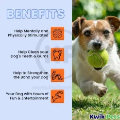 Petsport USA Jr. Mint Balls Dog Toy Assorted 1.8-in 2 Count