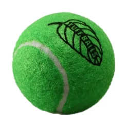 Petsport USA Jr. Mint Balls Dog Toy Assorted 1.8-in 2 Count