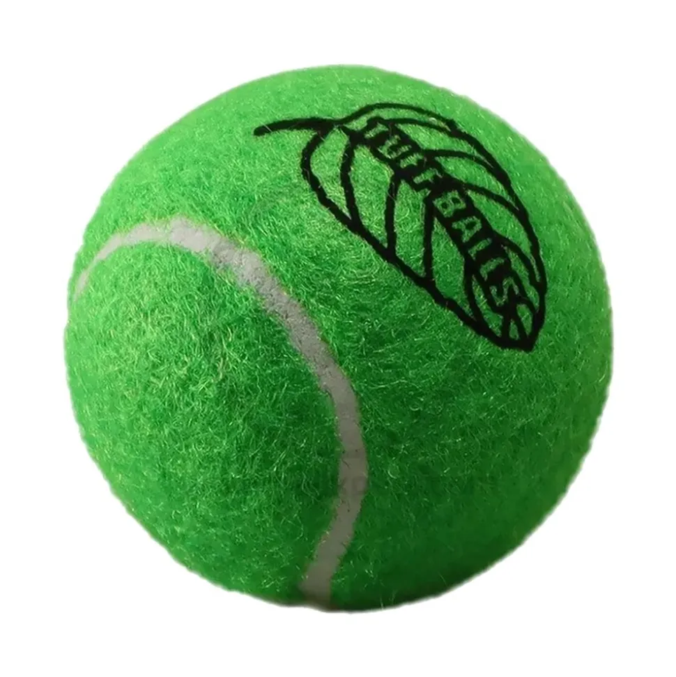 Petsport USA Jr. Mint Balls Dog Toy Assorted 1.8-in 2 Count