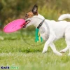 Petsport USA Tuff Disk Dog Toy Assorted 9-in