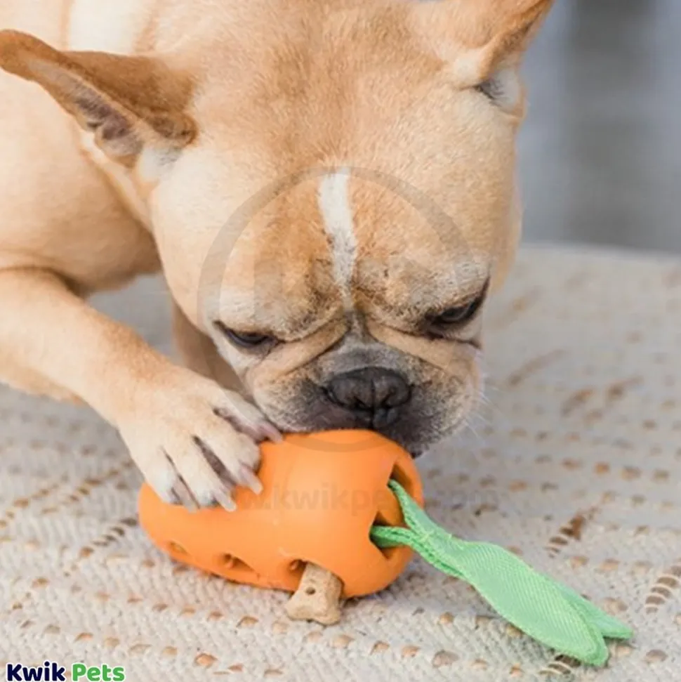 Petstages Carrot Stuffer Treat-Dispensing Interactive Dog Toy