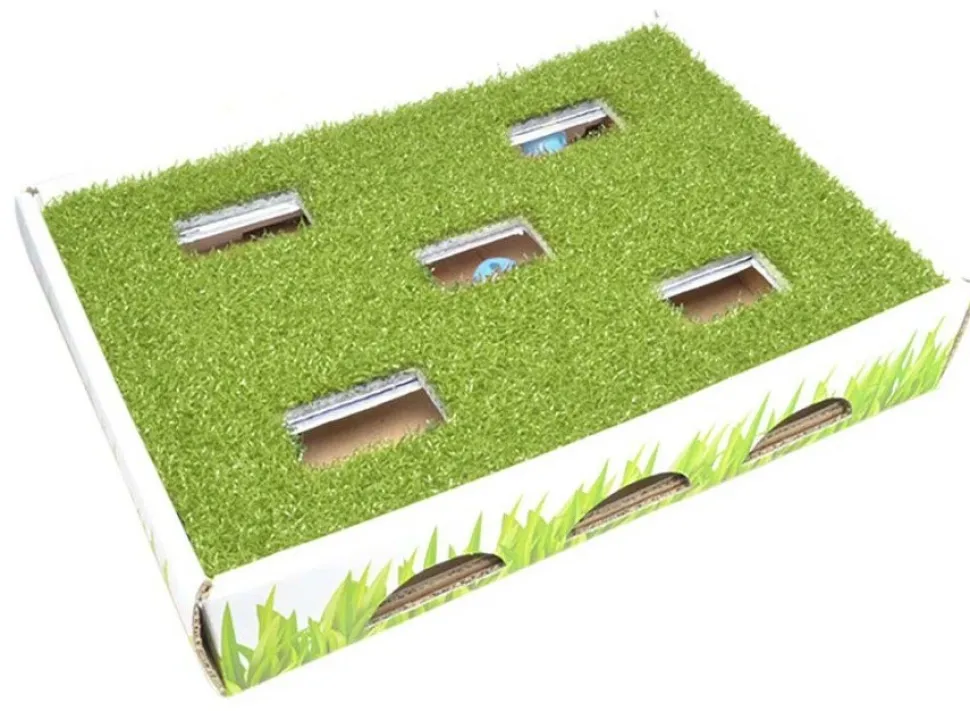 Petstages Grass Patch Hunting Box Cat Scratcher Toy