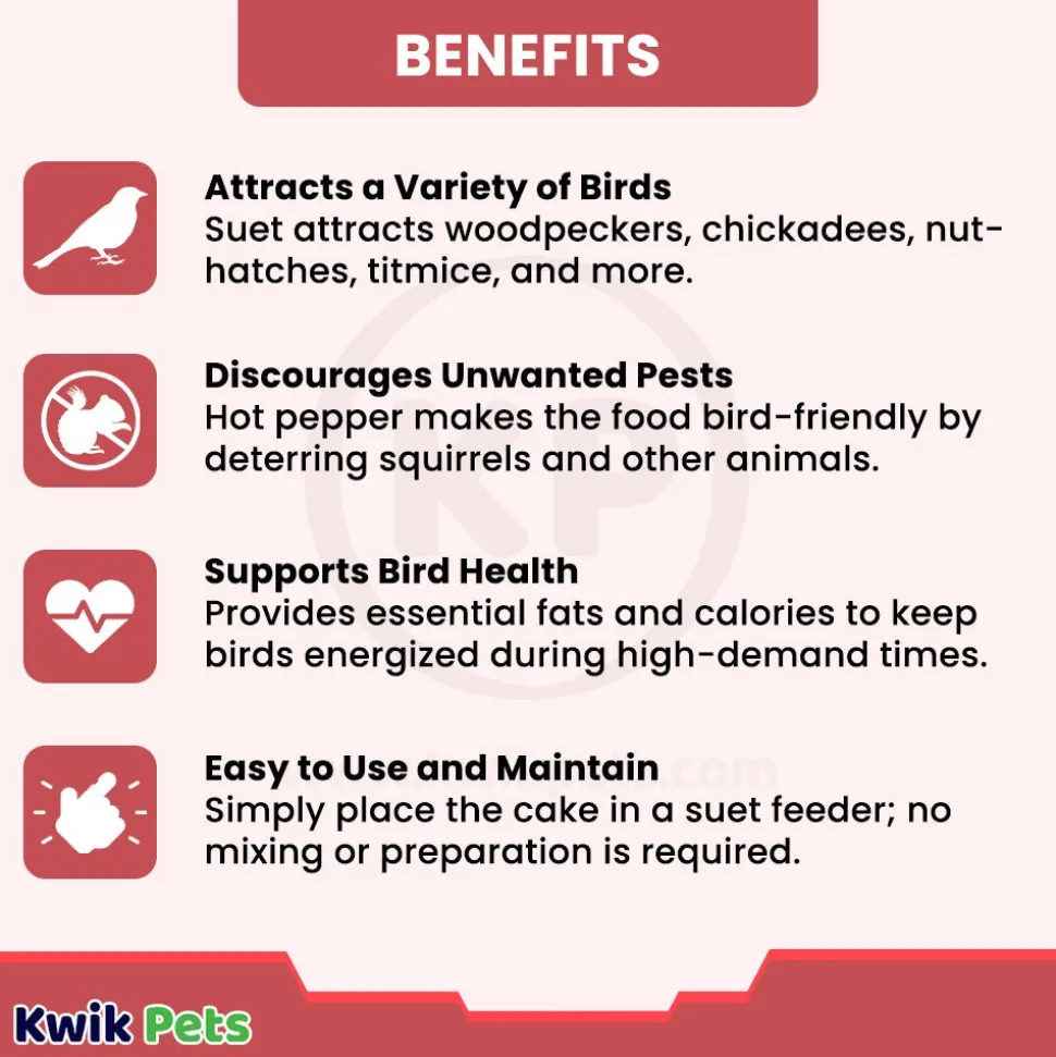 Pine Tree Farms Hot Pepper Suet Cake Wild Bird Food 12-oz