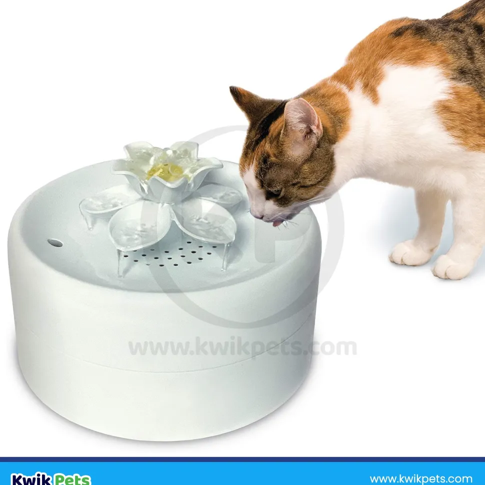 Pioneer Pet Magnolia Premium Plastic Dog & Cat Drinking Fountain White 55-oz
