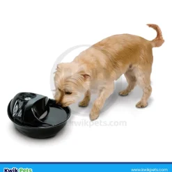 Pioneer Pet Raindrop Ceramic Dog & Cat Drinking Fountain Black 60-oz