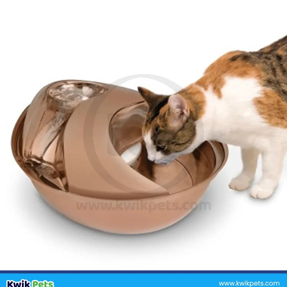 Pioneer Pet Raindrop Rose Gold Stainless Steel Dog & Cat Drinking Fountain 60-oz