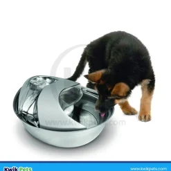 Pioneer Pet Raindrop Stainless Steel Dog & Cat Drinking Fountain 60-oz