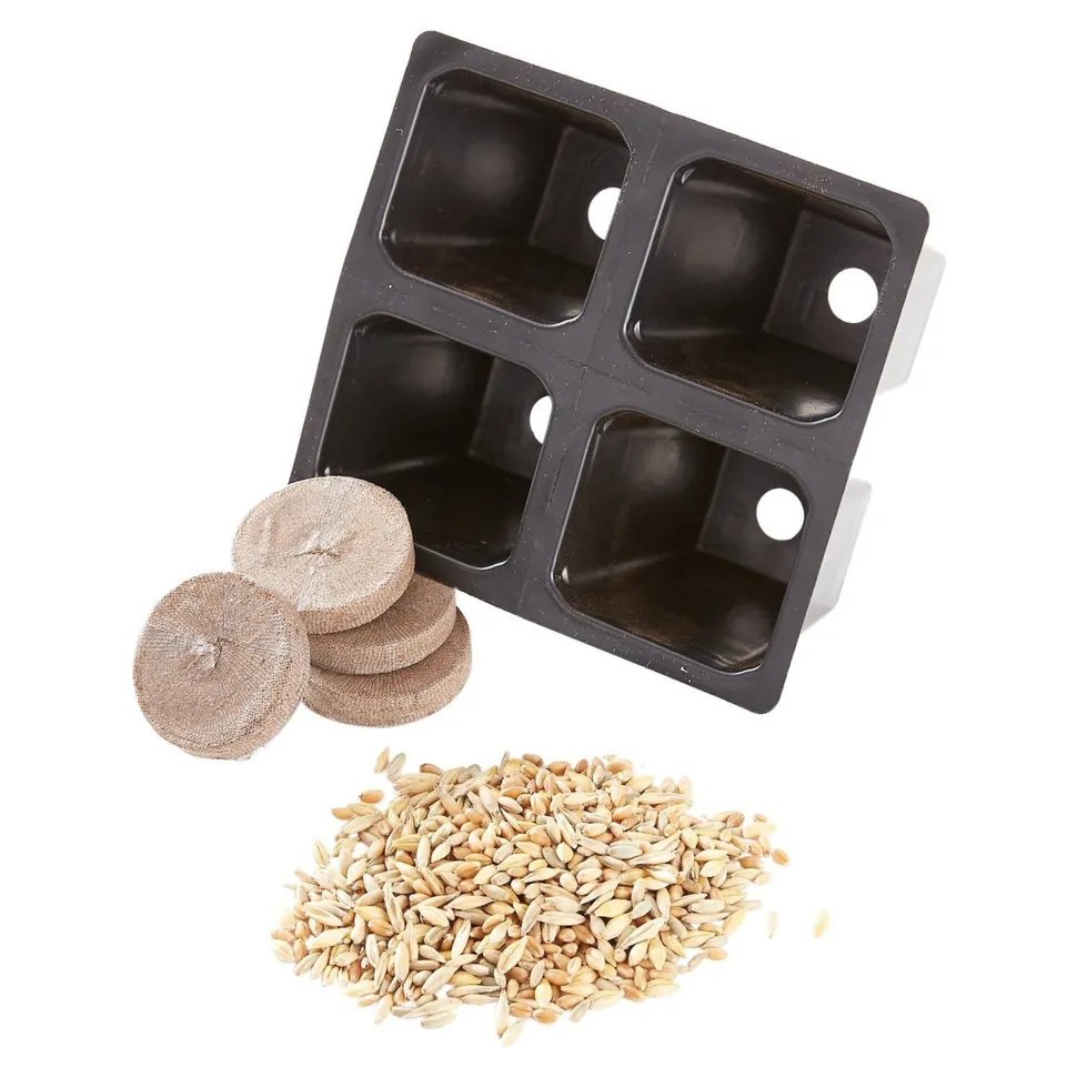 Pioneer Pet SmartCat Kitty's Garden Edible Grass Refill Kit