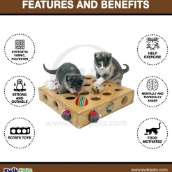 Pioneer Pet SmartCat Peek-a-Prize Cat Toy Box