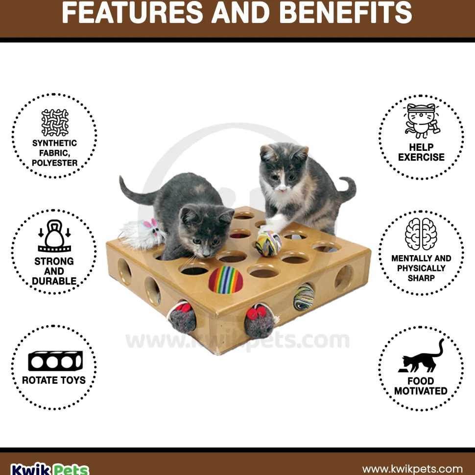 Pioneer Pet SmartCat Peek-a-Prize Cat Toy Box