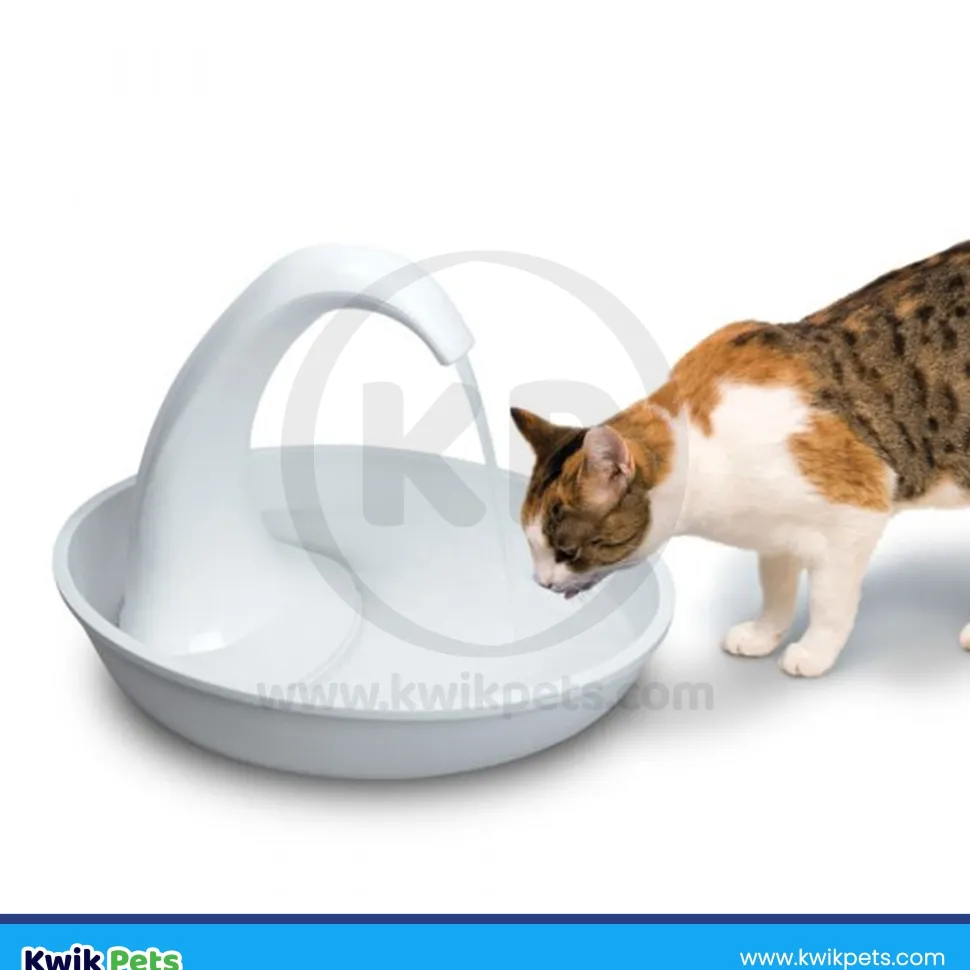 Pioneer Pet Swan Dog & Cat Drinking Fountain White 80-oz
