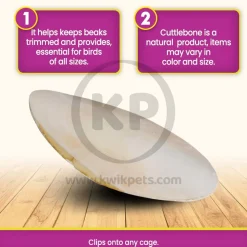 Prevue Pet Products Cuttlebone for Birds Medium 5-in