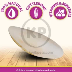Prevue Pet Products Cuttlebone for Birds Medium 5-in