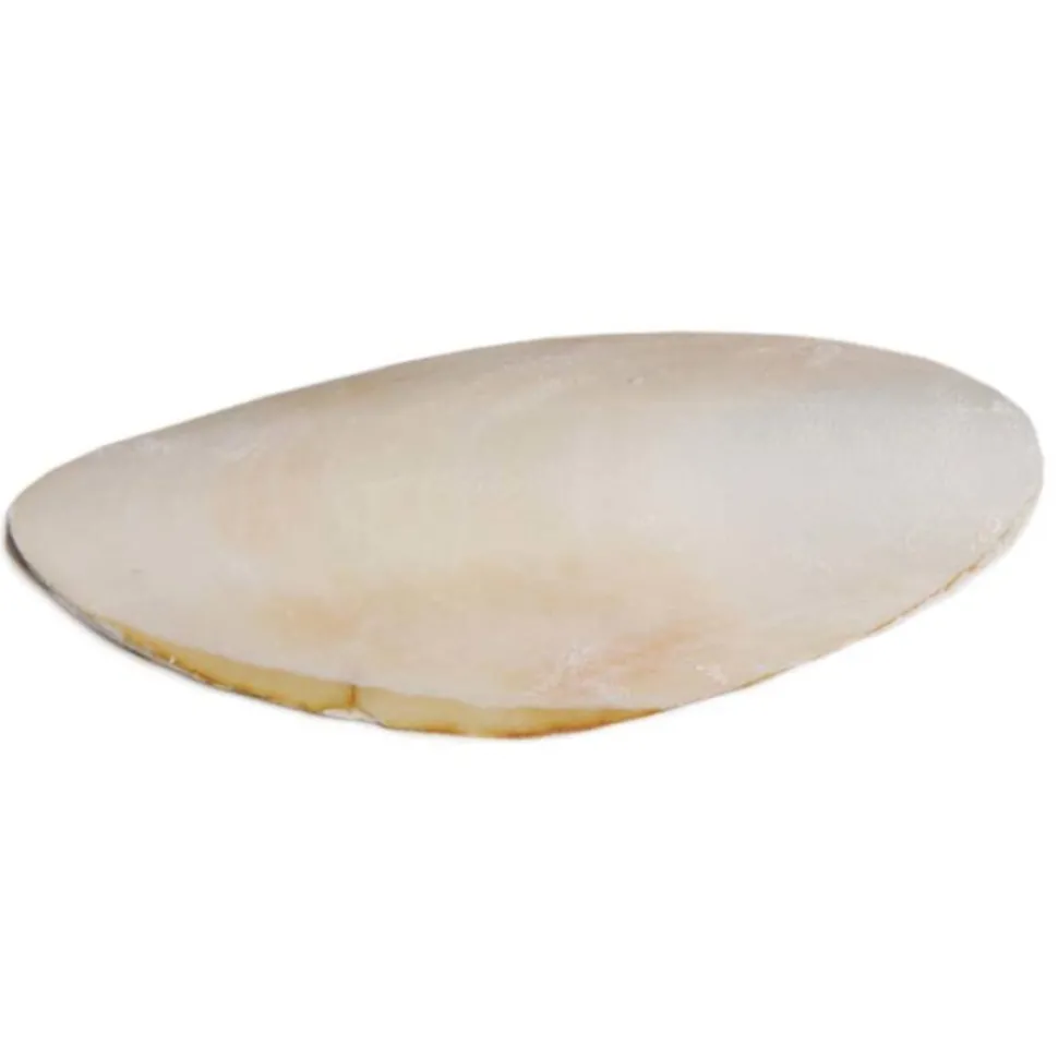Prevue Pet Products Cuttlebone for Birds Medium 5-in