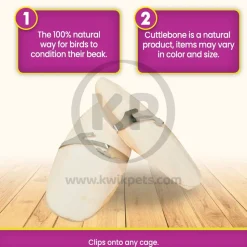 Prevue Pet Products Cuttlebone for Birds Small 4-in 2 Count
