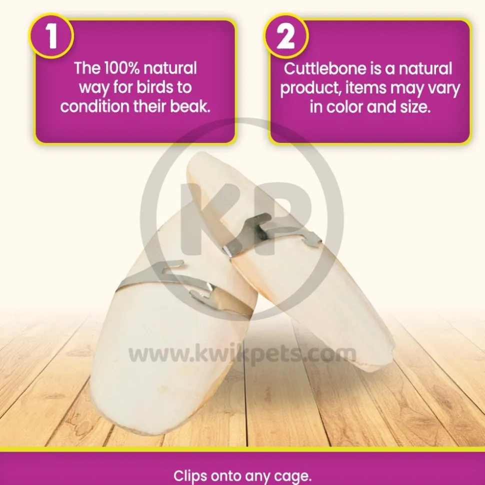 Prevue Pet Products Cuttlebone for Birds Small 4-in 2 Count