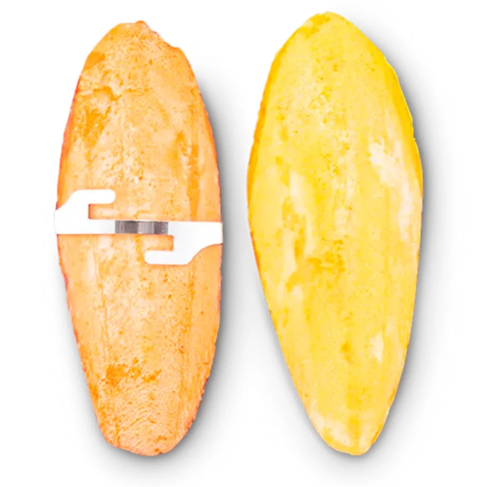 Prevue Pet Products Orange & Vanilla Flavored Cuttlebone for Birds 4-in 2 Count