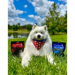 PureBites Chicken Air-Dried Jerky Dog Treats 5.5-oz