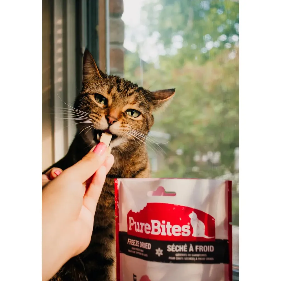 PureBites Chicken Breast Freeze-Dried Cat Treats 1.09-oz