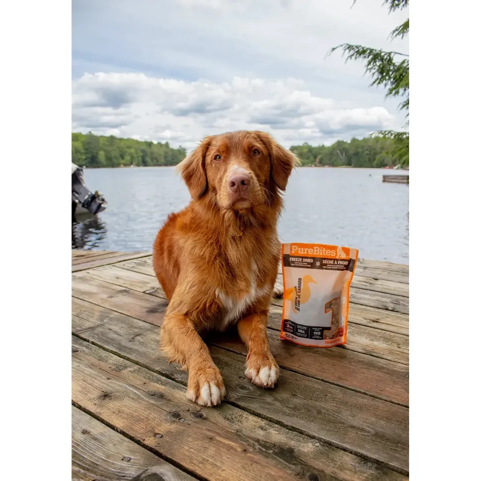 PureBites Duck Liver Freeze Dried Dog Treats 2.6-oz