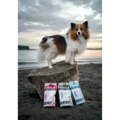 PureBites Mini-Trainers Chicken Breast Freeze-Dried Pure Dog Treats 2.1-oz