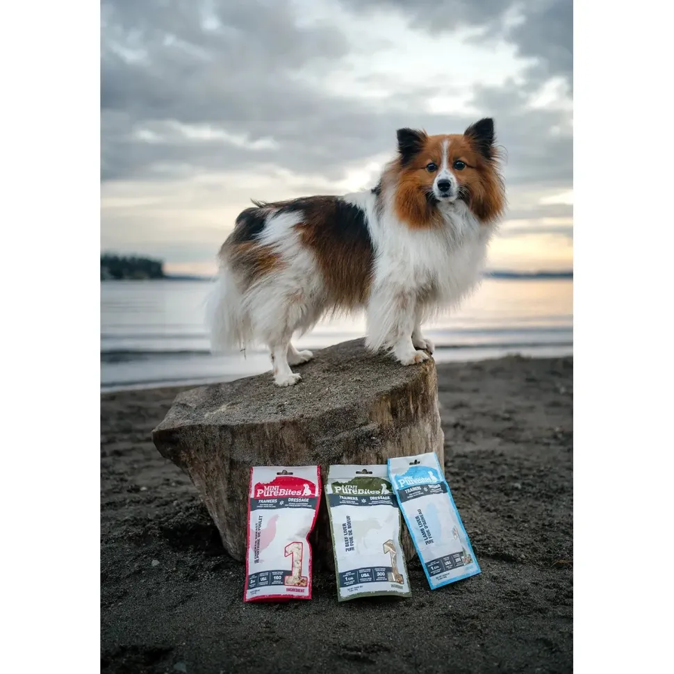 PureBites Mini-Trainers Chicken Breast Freeze-Dried Pure Dog Treats 2.1-oz