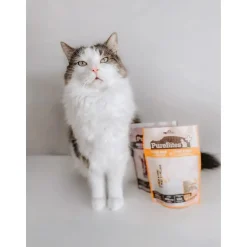 PureBites Plus Skin & Coat Freeze-Dried Cat Treats 1.09-oz